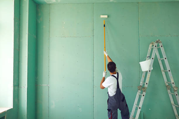Best Attic Mold Removal  in Manahawkin, NJ