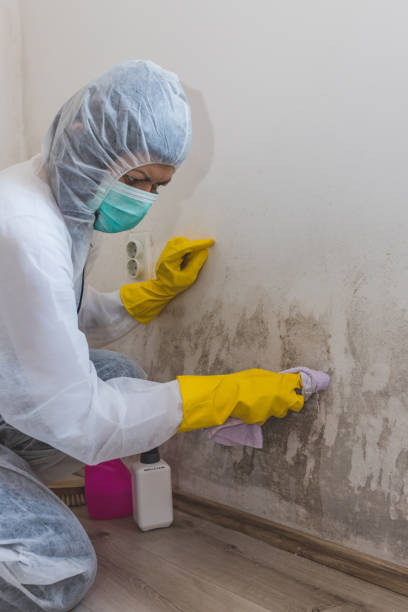 Best Post-Remediation Verification Testing  in Manahawkin, NJ
