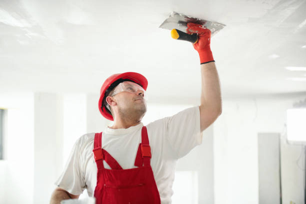 Best Emergency Mold Remediation  in Manahawkin, NJ